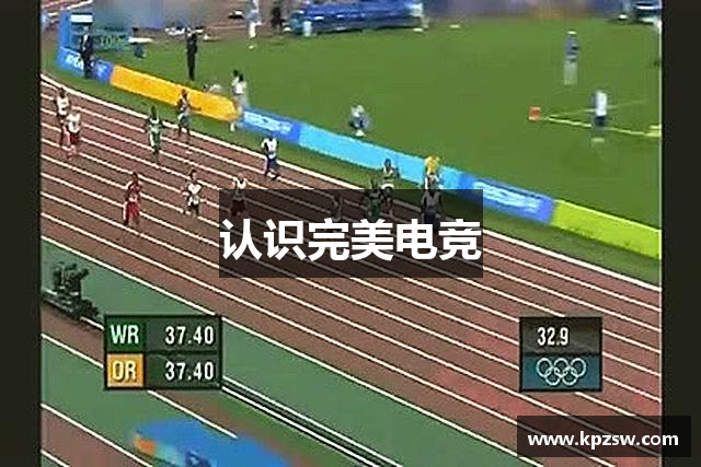 认识完美电竞